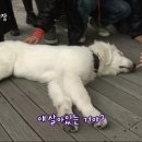 종일농장 이미지