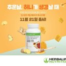 허니라이프