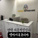 평택 심리상담 MIQ KOREA 엠아이큐 코리아 지문적성 검사 후기