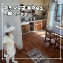 스페이스농농 | [제주]스페이스농농 | 서귀포감성숙소 |바로 맞은편에 산방산뷰 |온수풀장+마사지+자쿠지