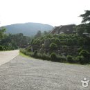 국립 칠보산자연휴양림 티스토리