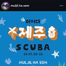 서울 프리다이빙 강습 앞두고 체험해본 물질하셈 후기! 수영못해도 자격증 취득까지 가등할까?