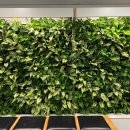 반포종합사회복지관 이미지