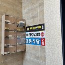 참치&누드 김밥 | 울릉도 맛집 기안장이 먹은 예약필수 김밥집 아리랑김밥 누드참치/명이김밥 후기