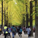 남이풀하우스 이미지