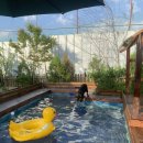 멍펜션3 이미지