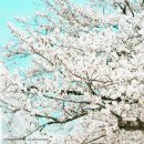 목천신계리 이미지