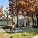 용두2공원화장실 이미지