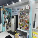 리얼독스 강아지분양 일산본점 이미지