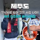 제주 엑티비티 이호테우해변 배 낚시 체험, 소방어 낚은 사람 접니다!
