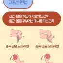 바틀제로핏 이미지