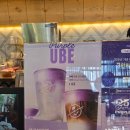 [내돈내산] 커피빈 카페인 없는 신메뉴 우베크림 코코 플로트 후기