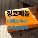 정원약국 | 징코페놀 효과 부작용 미백 생리통 붓기 효능 림프 약국 판매 턱선 내돈내산 후기 총정리