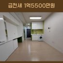 맘스동물약국 이미지