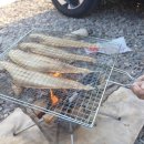 오토캠핑장 화장실 | 군산 무녀도 오토캠핑장 B1 사이트 후기