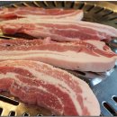 고바우 생고기 Daum카페