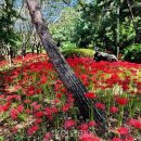 01-57 동구 이미지