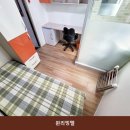 윈리빙텔 | 노량진고시원 윈리빙텔 시설 깔끔으로 유명한 곳의 이용 비용 안내
