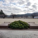 금광초병설유치원 이미지