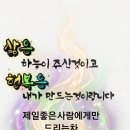 건강&수정 네이버블로그