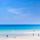 월정리에 이미지