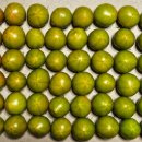 경민농장 이미지