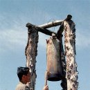 사교 마을회관 이미지