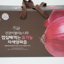건강이 열리는 나무 껍질째 먹는 유기농 자색 양파즙으로 건강하게 ♪