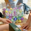 농업협동조합중앙회 | [서포터즈] 농협중앙회 NH오늘농사 서포터즈 오프라인 행사 그린픽데이 후기