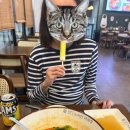 노사천마라탕 이미지