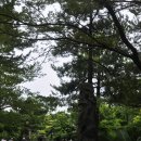 방림원 식물원 이미지