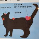 냥린이네 | 구미 고양이카페 &#39;냥린이네&#39; 강아지와 다른 매력