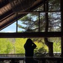월둔 감자창고 앞 | 평창 카페 감자창고 감자로 만든 이색 디저트 맛집