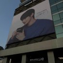 이디야커피앞 | 논현동 언주역근처 카페 이디야커피랩 방문 후기