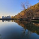 별천지 작은도서관 이미지