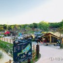 구리 토평 가족캠핑장 이미지