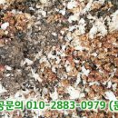 삼천포건강원