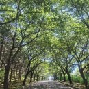 체력단련장 | 용인 경찰체력단련장 5월 라운드 후기