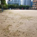 서울상암초등학교 이미지