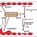 혈전용해제 종류 부작용 혈전이란? 원인 없애는 법 이미지