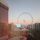 새아침주유소 | 11박 14일 LA&amp;칸쿤 신혼여행 후기 (2) 라스베가스