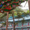 도선사