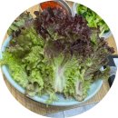 원조마포왕갈비 화장실 | 석관동 소금구이 맛집, 석계역 근처 원조마포소금구이 숯불 소고기 후기