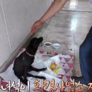 루카농장 이미지