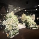 서울 웨딩홀] 보라매/신대방 더에스비웨딩컨벤션 웨딩홀 투어 상담후기 / 2025년 하반기 견적공유 (25년...