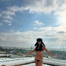 제이제이네트웍