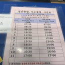 제주532스테이 | 11월 제주도 여행 일정 코스(4일차, 우도)