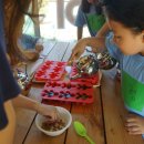 천안청룡초등학교 이미지