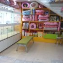 늘사랑동물병원 이미지