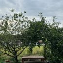 대봉가든 이미지